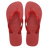 สีแดง / Red