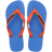 BLUE/ORANGE