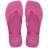 สีชมพู / Pink