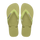 Mandacaru Green