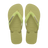 Mandacaru Green
