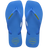สีฟ้า / Blue