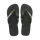 Green Olive